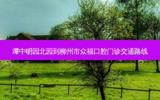 潭中明园北园到柳州市众福口腔门诊交通路线