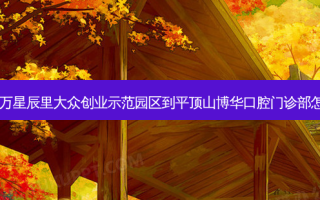 郏县福万星辰里大众创业示范园区到平顶山博华口腔门诊部怎么走？