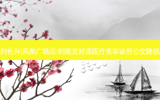 刘长兴(凤凰广场店)到南京好漾医疗美容诊所公交路线