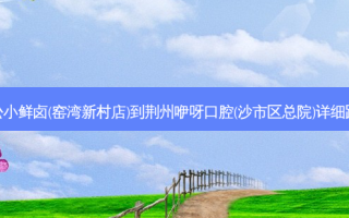 王松小鲜卤(窑湾新村店)到荆州咿呀口腔(沙市区总院)详细路线