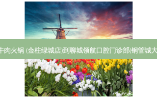 草牛园潮汕牛肉火锅 (金柱绿城店)到聊城领航口腔门诊部(钢管城大厦)交通路线