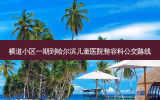 横道小区一期到哈尔滨儿童医院整容科公交路线