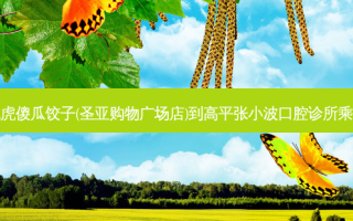 美客虎虎傻瓜饺子(圣亚购物广场店)到高平张小波口腔诊所乘车路线