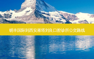 明丰国际到西安雁塔刘良口腔诊所公交路线