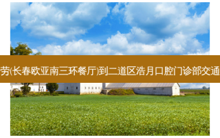麦当劳(长春欧亚南三环餐厅)到二道区浩月口腔门诊部交通路线