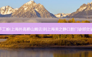 小满手工粉(上海外高桥山姆店)到上海美之静口腔门诊部交通路线