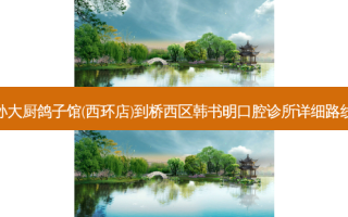 孙大厨鸽子馆(西环店)到桥西区韩书明口腔诊所详细路线