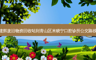 建辉废旧物资回收站到青山区米晓宁口腔诊所公交路线