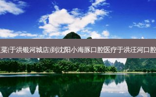 百富源·海鲜辽菜(于洪银河城店)到沈阳小海豚口腔医疗于洪汪河口腔诊所出行路线