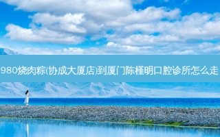 1980烧肉粽(协成大厦店)到厦门陈槿明口腔诊所怎么走？