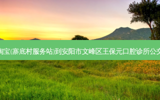 农村淘宝(寨底村服务站)到安阳市文峰区王保元口腔诊所公交路线