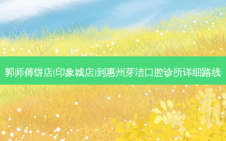 郭师傅饼店(印象城店)到惠州芽洁口腔诊所详细路线