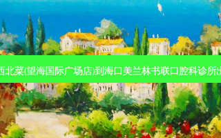 九毛九西北菜(望海国际广场店)到海口美兰林书联口腔科诊所出行路线