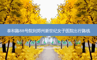 泰和路88号院到郑州新世纪女子医院出行路线