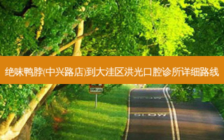 绝味鸭脖(中兴路店)到大洼区洪光口腔诊所详细路线
