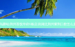 菜鸟驿站(荆州吾悦华府6栋店)到湖北荆州紫荆口腔怎么走？