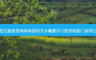 甘肃建投五建集团鸿泰家园到天水羲雅尔口腔碧桂园门诊部公交路线