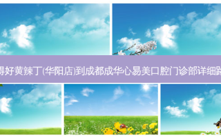 郭得好黄辣丁(华阳店)到成都成华心易美口腔门诊部详细路线