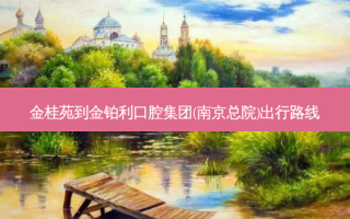 金桂苑到金铂利口腔集团(南京总院)出行路线