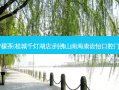 柠殿·纯手打柠檬茶(桂城千灯湖店)到佛山南海康齿怡口腔门诊部乘车路线