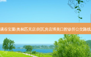 满谷宝栗(奥林匹克店)到瓦房店博美口腔诊所公交路线