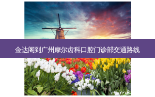 金达阁到广州摩尔齿科口腔门诊部交通路线