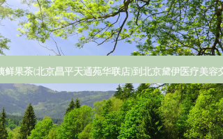 沪上阿姨鲜果茶(北京昌平天通苑华联店)到北京黛伊医疗美容交通路线