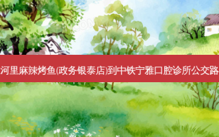 江河里麻辣烤鱼(政务银泰店)到中铁宁雅口腔诊所公交路线