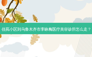 佳苑小区到乌鲁木齐市李咏梅医疗美容诊所怎么走？