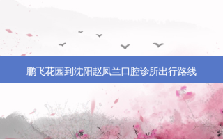 鹏飞花园到沈阳赵凤兰口腔诊所出行路线