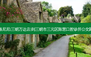 泰格尼尼(三明万达店)到三明市三元区陈慧口腔诊所公交路线
