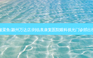 太二酸菜鱼(颍州万达店)到临泉康复医院眼科视光门诊部出行路线