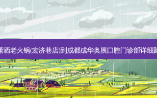 黄潇洒老火锅(宏济巷店)到成都成华奥展口腔门诊部详细路线