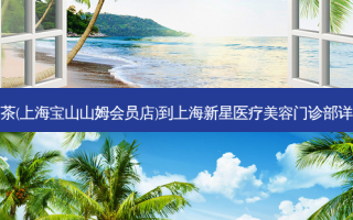 奈雪的茶(上海宝山山姆会员店)到上海新星医疗美容门诊部详细路线