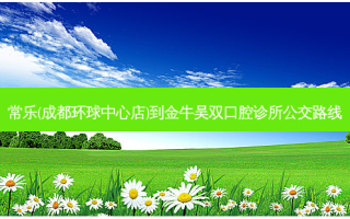 常乐(成都环球中心店)到金牛吴双口腔诊所公交路线