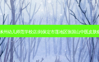 菜鸟驿站(保定涿州幼儿师范学校店)到保定市莲池区张国山中医皮肤病诊所交通路线