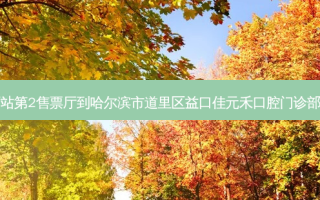 哈尔滨西站第2售票厅到哈尔滨市道里区益口佳元禾口腔门诊部公交路线
