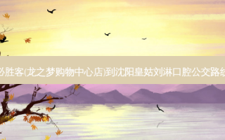 必胜客(龙之梦购物中心店)到沈阳皇姑刘淋口腔公交路线