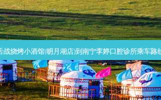 舌战烧烤小酒馆(明月湖店)到南宁李婷口腔诊所乘车路线