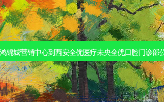 南飞鸿·鸿锦城营销中心到西安全优医疗未央全优口腔门诊部公交路线