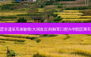 川耳匠非遗采耳体验馆(大润发店)到林军口腔兴华院区乘车路线