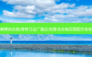 圣罗巴海鲜烤肉自助(青特万达广场店)到青岛市南田蓓医疗美容公交路线