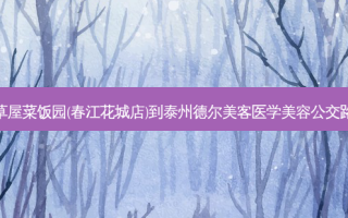 小草屋菜饭园(春江花城店)到泰州德尔美客医学美容公交路线