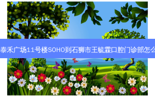 东海泰禾广场11号楼SOHO到石狮市王毓霖口腔门诊部怎么走？