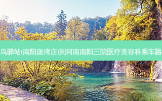 菜鸟驿站(南阳唐湾店)到河南南阳三院医疗美容科乘车路线