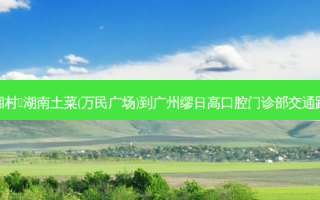 老湘村•湖南土菜(万民广场)到广州缪日高口腔门诊部交通路线