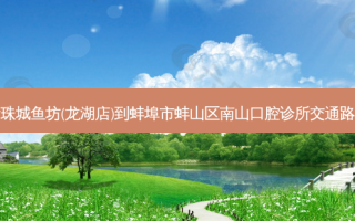 新珠城鱼坊(龙湖店)到蚌埠市蚌山区南山口腔诊所交通路线