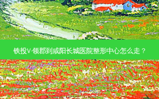 铁投V·领郡到咸阳长城医院整形中心怎么走？