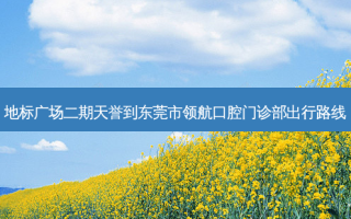 地标广场二期天誉到东莞市领航口腔门诊部出行路线