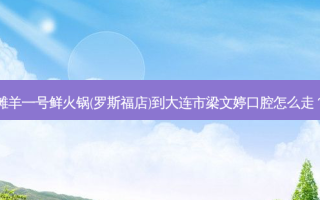 滩羊一号鲜火锅(罗斯福店)到大连市梁文婷口腔怎么走？